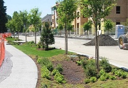 Landscape Design & Construction - Utilities | seattle.g