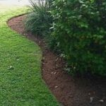 lawn edging plants | Landscaping with rocks, Landscape edging .