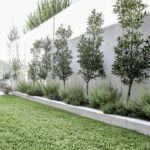 400 L: Fenceline Landscaping ideas in 2024 | garden design .