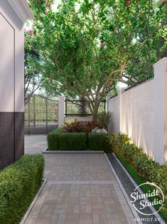 71 || Savage Garden || ideas in 2024 | garden design, backyard .