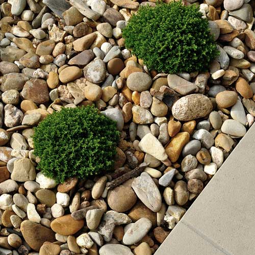 Transform Your Outdoor Space: A Guide to Using Landscaping Rocks