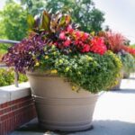 Large Outdoor Planters at Wholesale Prices - NewPro Containe