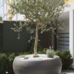 Aladin Oversized Extra Large Round Outdoor Planter | Large outdoor .