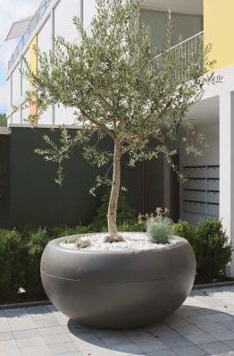 Aladin Oversized Extra Large Round Outdoor Planter | Large outdoor .