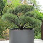 Extra Large Round Outdoor Planter Pot 30" Diameter | Stardu