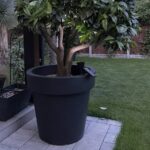 Big Plant Pots. Extra Large Indoor Outdoor Planter, Garden Pot .