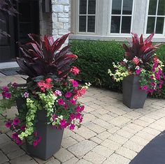 65 Best Big planters ideas | container gardening, garden .