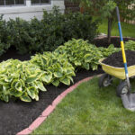 How to Create a Low Maintenance Garden - Gardening Ti