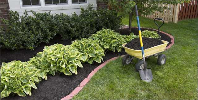 How to Create a Low Maintenance Garden - Gardening Ti