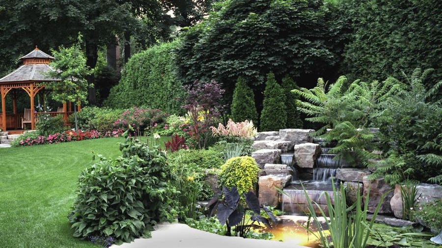 Smart Low-Maintenance Landscaping Ideas – Forbes Ho