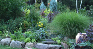 Creating a Low-Maintenance Garden - FineGardeni