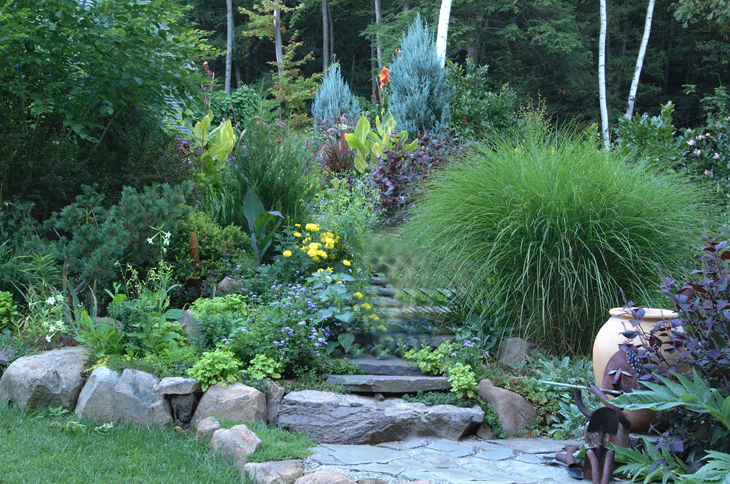 Low Maintenance Garden Ideas for Busy Homeowners