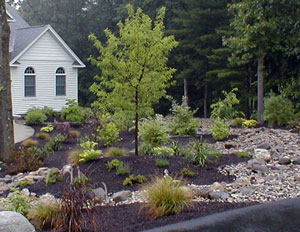 Cottage and low maintenance landscaping Grand Rapids