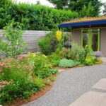 Transform Your Garden: Low-Maintenance Gardening Ideas | Garden Desi