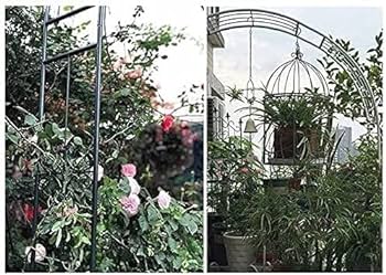 Amazon.com : Garden Arbors Garden Arch Plant Climbing Frame Metal .