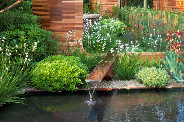 Modern Garden - Inspiring Garden Ideas for all Gardene