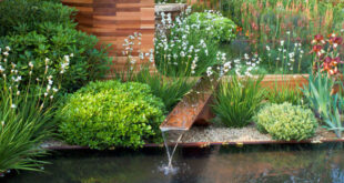 Modern Garden - Inspiring Garden Ideas for all Gardene