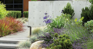 A Stunning Modern Landscape Design for a Contemporary Home .