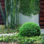 Modern Landscape Dos & Don'ts - Landscaping Netwo