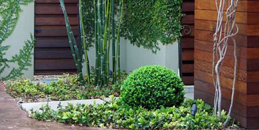 Modern Landscape Dos & Don'ts - Landscaping Netwo