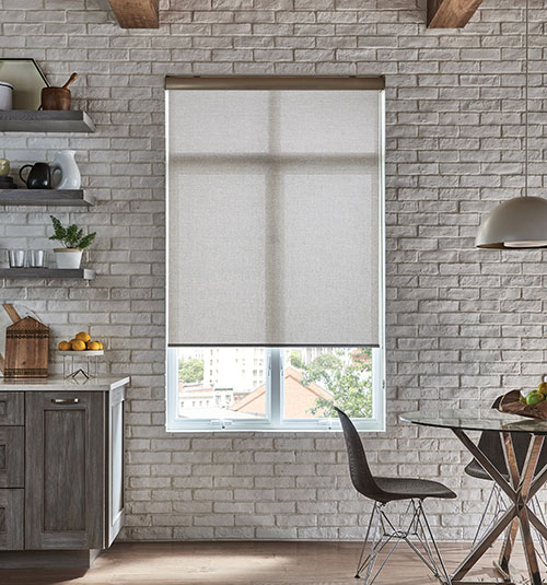 Blindsgalore Envision Motorized Roller Shades | Blindsgalo