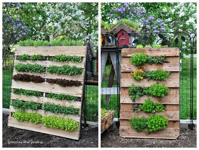 Rebecca's Bird Gardens Blog: DIY Vertical Pallet Gard