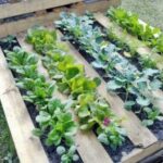 How to Make a Wood Pallet Garden - New Engla