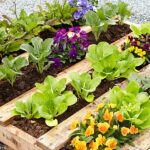 DIY Pallet Raised Garden Bed | Garden Ga