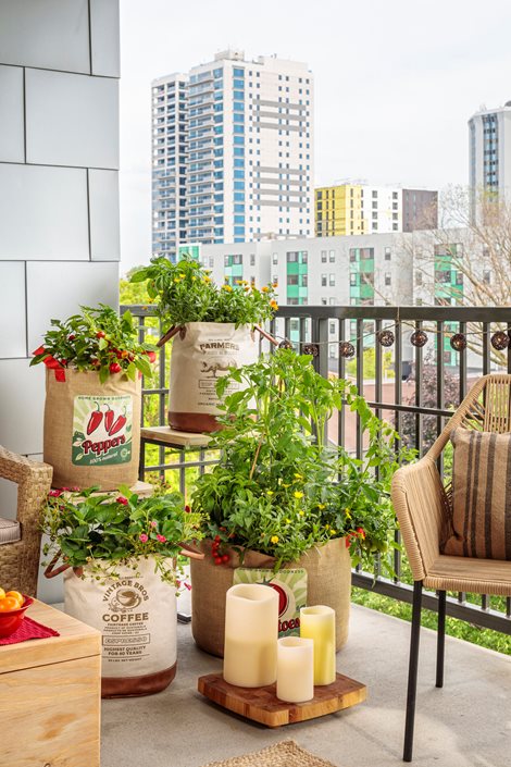 21 Balcony Garden Ideas for Beginners in Small Apartments | Garden .