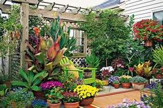 10 Best Patio Gardens ideas | patio garden, garden inspiration .