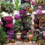 10 Best Patio Gardens ideas | patio garden, garden inspiration .