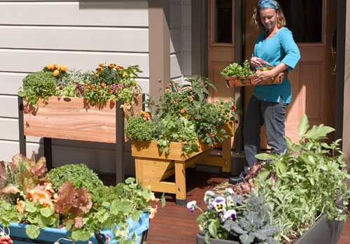 Create a Patio Vegetable Garden | Gardener's Supp