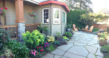 New Portlander Loves Colorful Garden - Landscape Design In A D