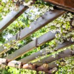 25 Best Pergola Ideas for the Backyard - How to Use a Pergo
