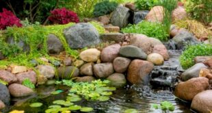 How to Design a Dream Pond for Your Customer - Aquascape Professiona