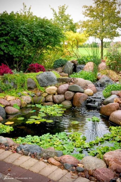 The Art of Creating a Beautiful Pond: Tips and Tricks for Design Success