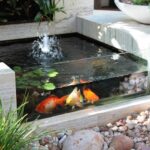 10 Ideas for Minimalist Fish Pond Design - Matchness.com | Fish .