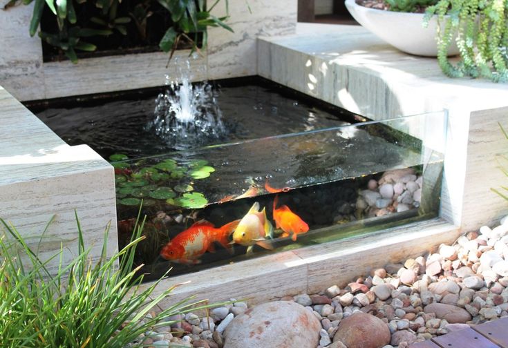 10 Ideas for Minimalist Fish Pond Design - Matchness.com | Fish .