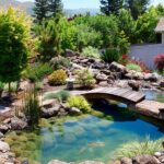 Natural Inspiration: Koi Pond Design Ideas For A Rich And Tranquil .