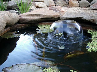 How to Build a Fish Pond or Garden Pond : 6 Steps (with Pictures .