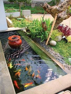 53 Garden aquarium ideas | ponds backyard, pond design, fish pon