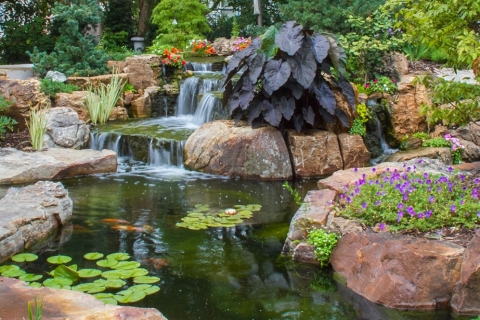 Pond Design Ideas l Great Lakes Pondscap