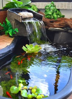 94 Best Koi pond design ideas | pond design, koi pond, ponds backya