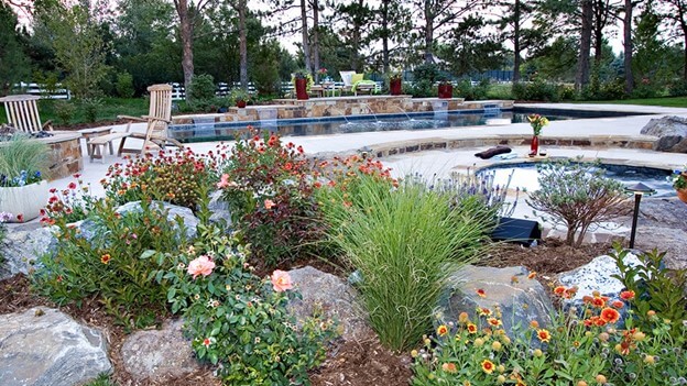 Pool Landscaping Ideas to Elevate Your Backyard | Environmental .