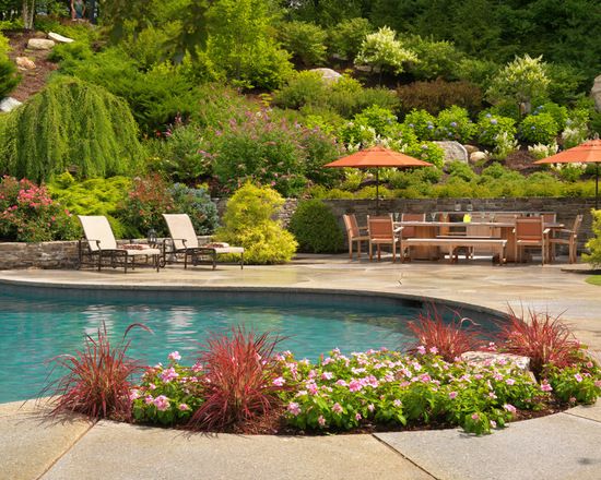 18 Amazing Poolside Landscape Ideas | Poolside landscape ideas .