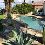 Modern and Contemporary Landscaping | Palm Sprin