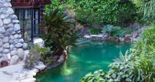 The 16 Best Pool Landscaping Ide
