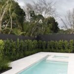 150 Pool Privacy Ideas | pool, backyard pool, pool landscapi