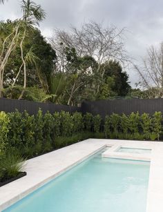 150 Pool Privacy Ideas | pool, backyard pool, pool landscapi