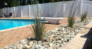 11 Simple Pool Landscaping Ideas That Fit Your Budget | Medallion .